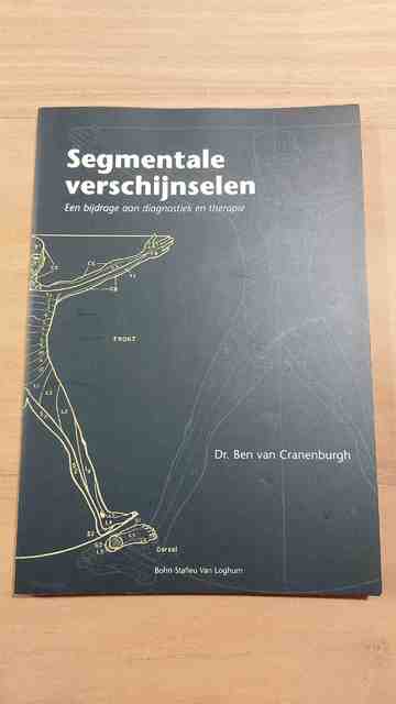 9789031343188-Segmentale-verschijnselen