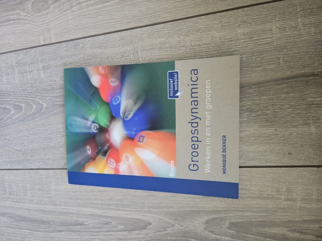 9789089539168-Groepsdynamica