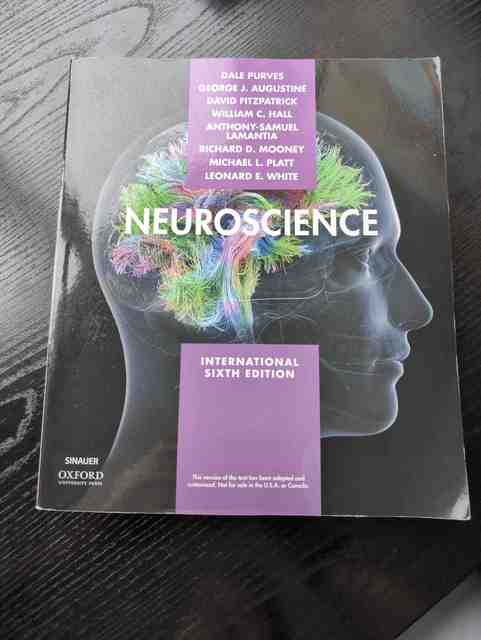 9781605358413-Neuroscience