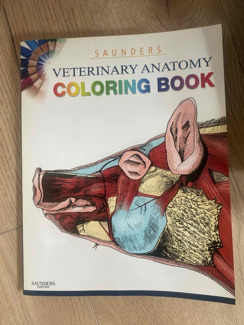 9781437714395-Saunders-Veterinary-Anatomy-Coloring-Book