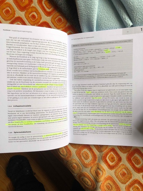 9789036817493-Inspanningstests