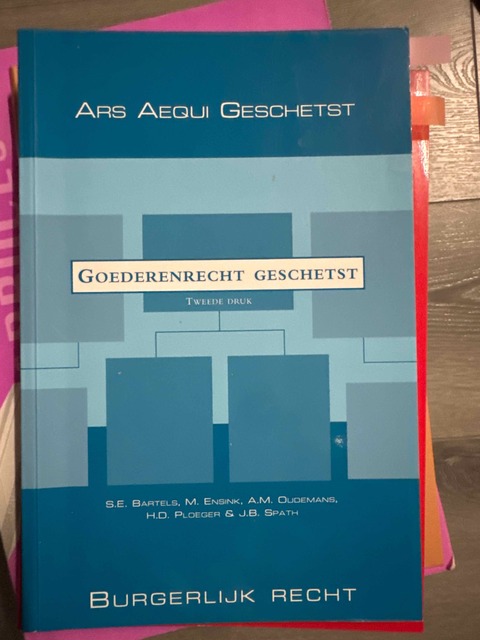 9789069168371-Goederenrecht-geschetst