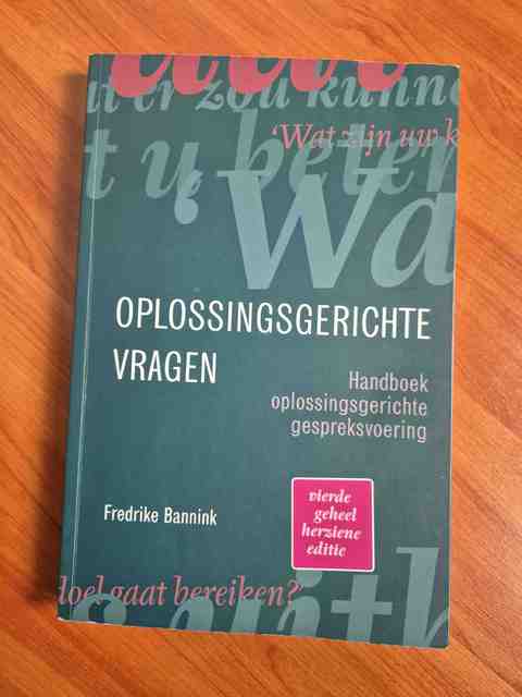 9789043036566-Oplossingsgerichte-vragen