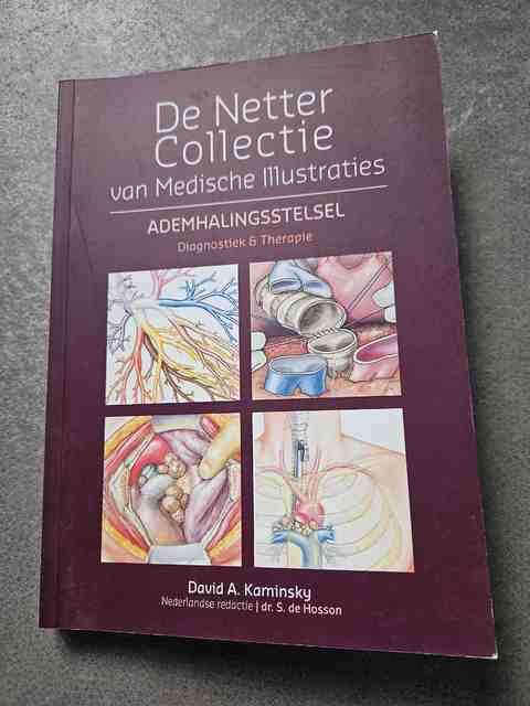 9781437705744-The-Netter-Collection-of-Medical-Illustrations-Respiratory-System