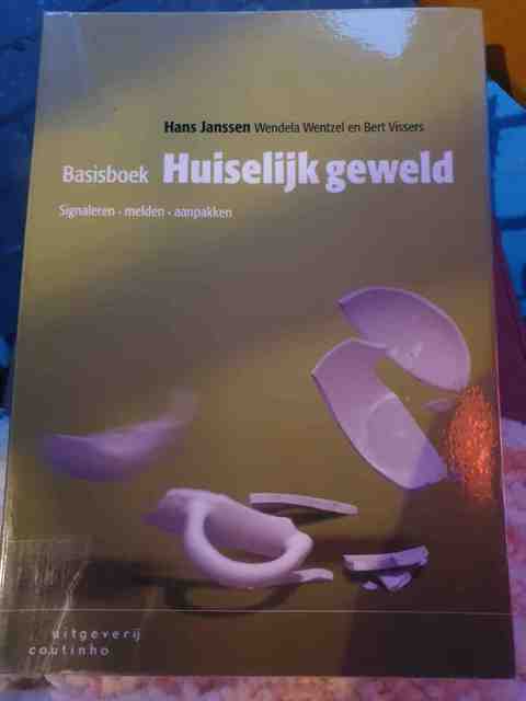 9789046904770-Basisboek-huiselijk-geweld