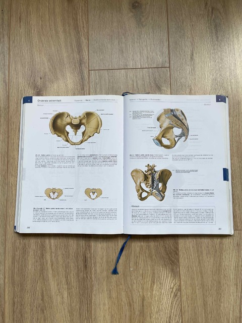 9789031390366-Sobotta-1-Algemene-anatomie-en-bewegingsapparaat