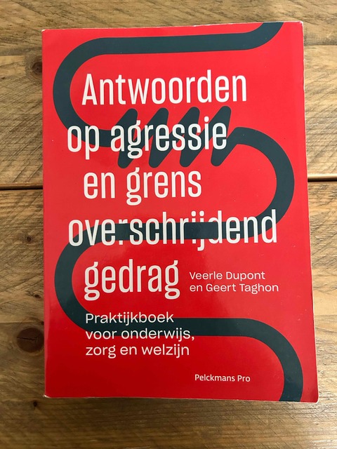 9789463371667-Antwoorden-op-agressie-en-grensoverschrijdend-gedrag
