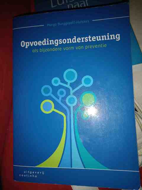 9789046905098-Opvoedingsondersteuning-als-bijzondere-vorm-van-preventie