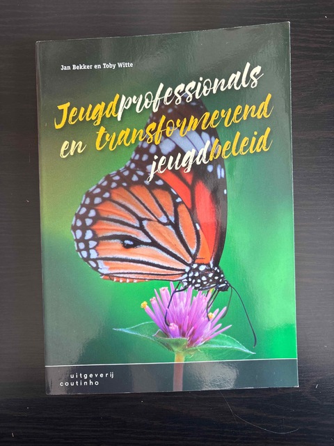 9789046905708-Jeugdprofessionals-en-transformerend-jeugdbeleid