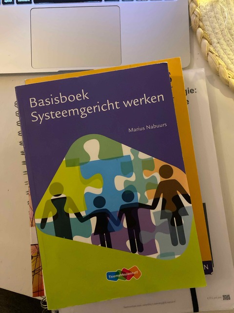 9789006951905-Basisboek-Systeemgericht-werken