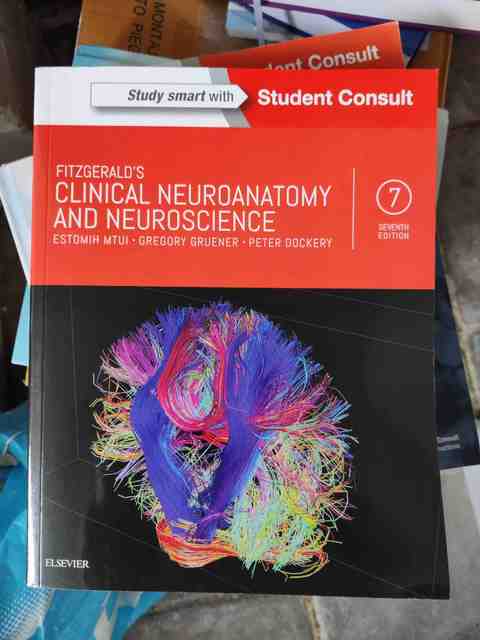 9780702058325-Fitzgeralds-Clinical-Neuroanatomy-and-Neuroscience