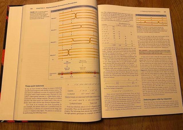 9781319114770-An-Introduction-to-Genetic-Analysis