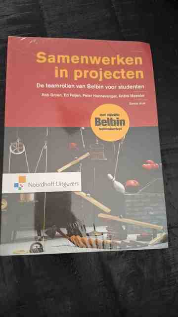 9789001850180-Samenwerken-in-projecten