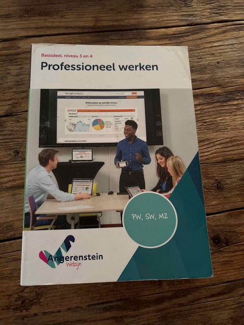 9789037223637-Professioneel-werken