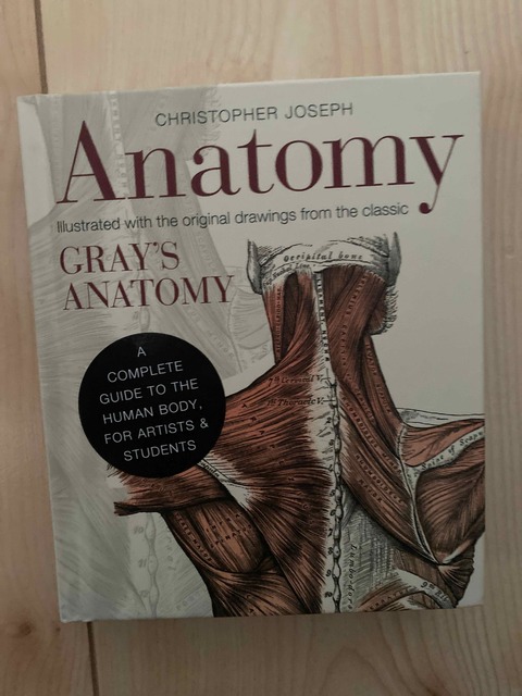 9781782401278-Anatomy