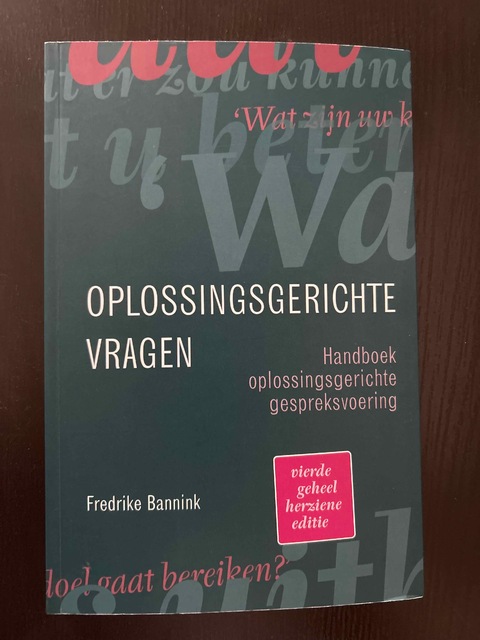 9789043036566-Oplossingsgerichte-vragen