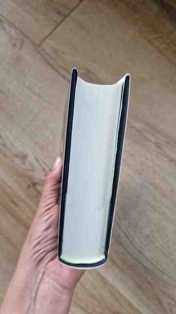 9789041418531-De-reunie