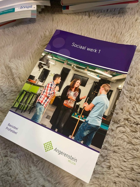 9789037229615-Sociaal-werk-1-Profieldeel-Basisdeel