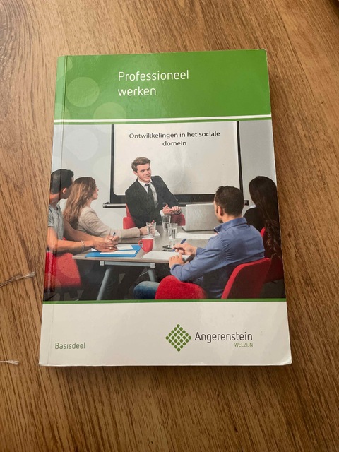 9789037223637-Professioneel-werken