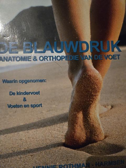 9789082852226-De-blauwdruk