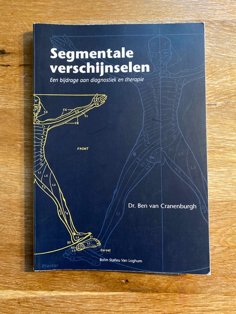 9789031343188-Segmentale-verschijnselen