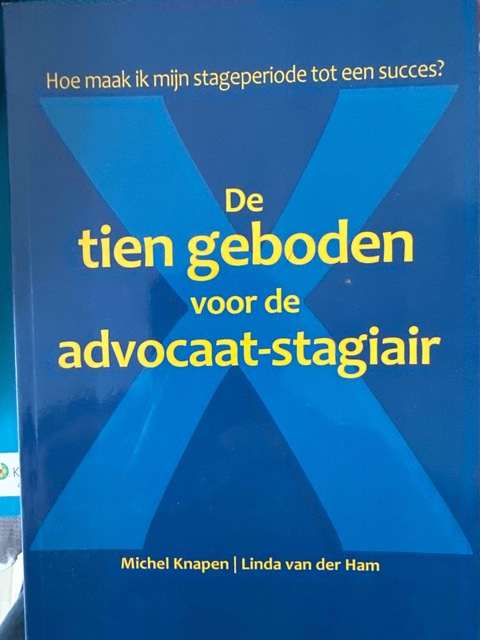 9789088631771-De-10-geboden-voor-de-advocaat-stagiair