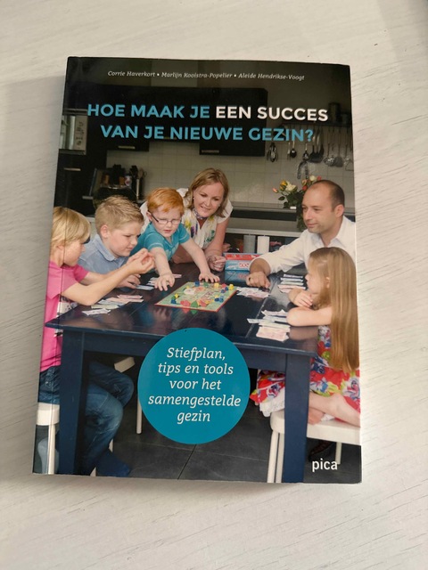 9789491806995-Hoe-maak-je-een-succes-van-je-nieuwe-gezin